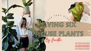 25K views · 509 reactions | Are your house plants struggling? Don't...