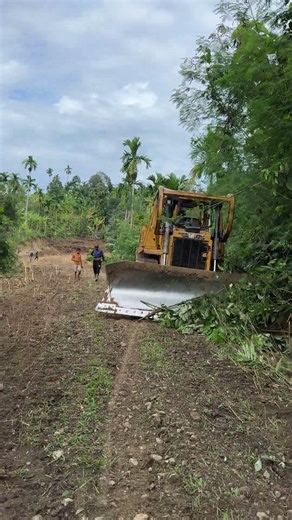 Mountain Land Clearing for Agricultural Projects with D6R XL Bulldozer