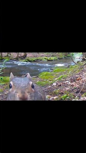 Who Visited the Waterfall?