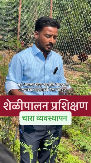 ALFA AGRO AND LIVESTOCK on Instagram: "Goat farm Training topic : fodder management #goatfarming #shelipalan #training"