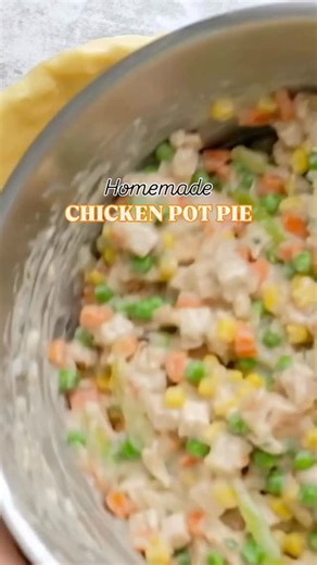 This Homemade Chicken Pot Pie Recipe is made completely from scratch!...