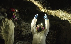 OVNIS y aliens: 5 series y películas para ver en NETFLIX