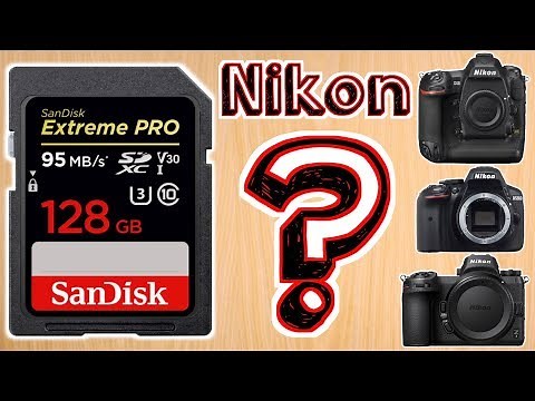 Best Memory Card for Nikon Cameras – Choosing the Best SD Card for Video on Nikon Cameras