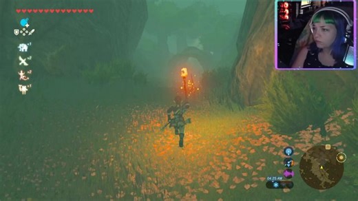 Still Haven't Finished BoTW lol⭐