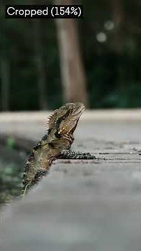 Introducing the new Sony a7R V! The Ultimate High-Resolution Experience. Pre-order yours now!