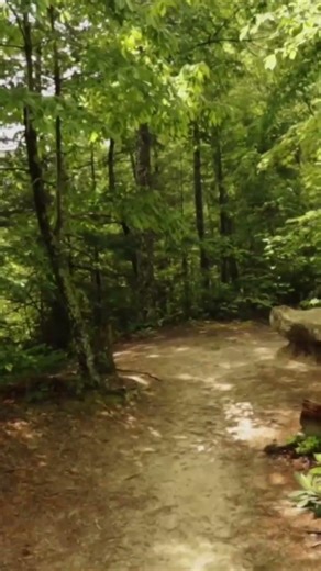 Change doesn’t require permission| Seasons change | ASMR | Motivation