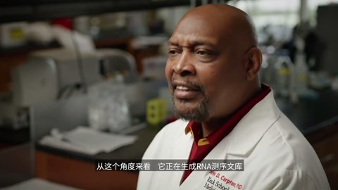 10x Genomics | Visium空间基因表达解决方案