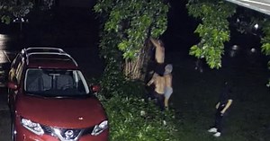 Video shows suspects repeatedly stealing pride flags from Lakeville family’s yard