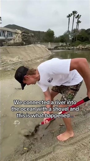 These boys got by the cop.