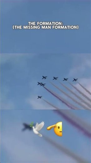 The Saddest Formation in Aviation History... 🕊️✈️
