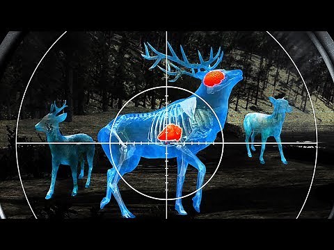 Wild Hunt:Sport Hunting Game.3D Shooting Simulator - Android Gameplay