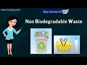 Non Biodegradable Waste | Biodegradable & Non-Biodegradable Waste | Waste Management | Science
