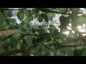 How To Animate Branches & Leafs In Blender 2.8 & Eevee (Timelapsed)