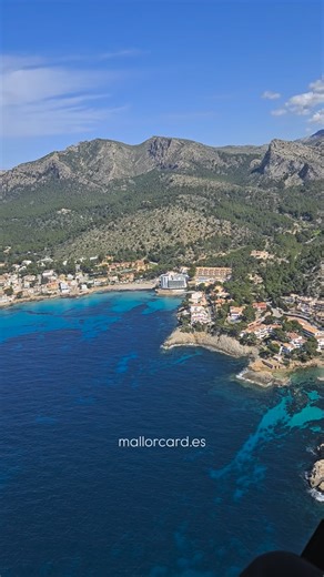 1.6K views · 799 reactions | This morning, we take off once again...