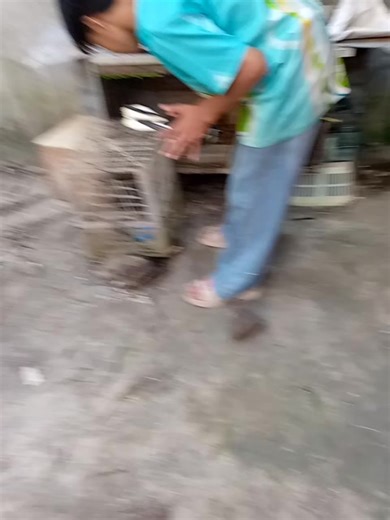 #kalapatidsph🇵🇭 #fypシ゚