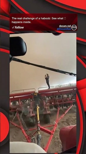 The real challenge of a haboob: See what happens inside.