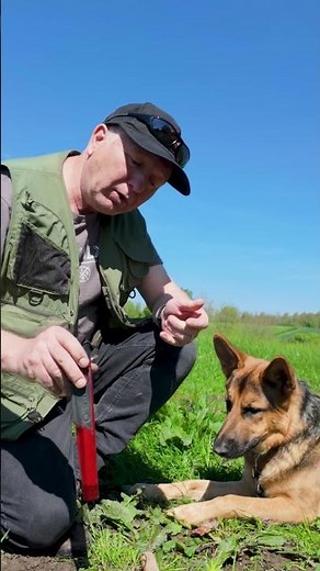 Discover MI-6 Pinpointer Top Tips - Part 2 - Subscribe for more #metaldetecting #metaldetector