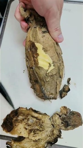 Spring's Sweet Potato Delight: The First Fresh Flavors