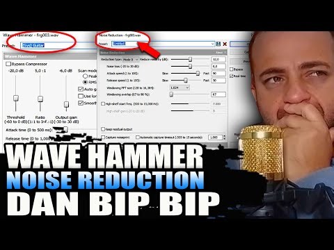 Wave hammer sound forge E NOISE REDUCTION DANDO bip bip #wavehamme #noise #apitando #bip
