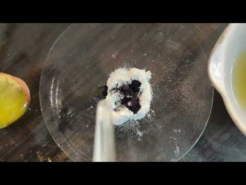 Practical 1 Starch Test Using Iodine