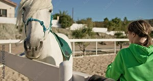 A woman takes a saddle and puts it on a horse at the ranch. horse riding, love of animals, horse training. High quality 4k footage