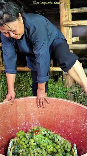 Traditional Grape Wine Making in China 🍇🍷