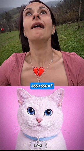 Funny switch Board 😂🤣#funny #cat #shorts #dance