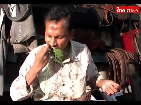 This man, who eats grass !