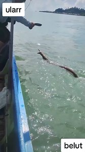 2.1M views · 4.1K reactions | Pantang menyerah seblum ada notif 100 jt tayang藍藍藍 #reelsfyp | Bundailhamindra | Facebook