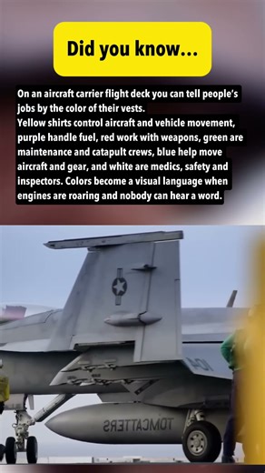 Colors on the Flight Deck: Who’s Who on an Aircraft Carrier | Navy Life