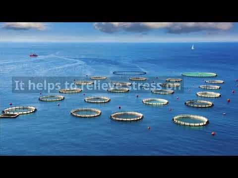 AQUACULTURE - GEOGRAPHY DEFINITION