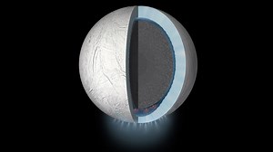 Ingredients for Life at Enceladus