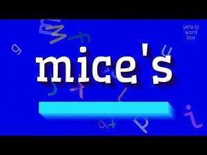 HOW TO PRONOUNCE MICE'S?
