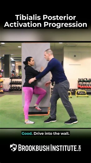 🔴 Tibialis Posterior Activation Progression