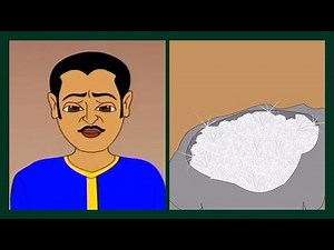 Thakurmar Jhuli | Chalakir Saja | Thakumar Jhuli Cartoon | Bengali Story For Children