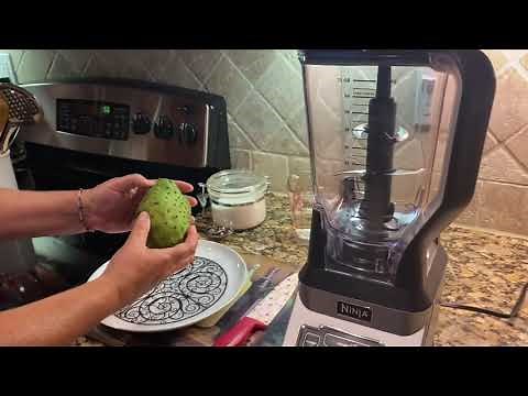 Soursop Juice Easy to Make Recipe