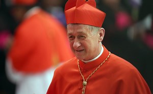 Pope Leo officially appoints Cupich ally to replace Cardinal Dolan as archbishop of New York - LifeSite