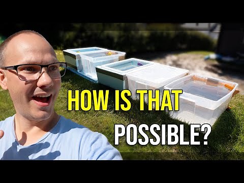 Don't waste your money on useless pool insulation! I tested it all, and it SHOCKED me!