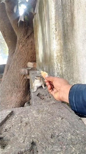 🤗❤️‍🩹 #reaction #food #viralshorts #huminity