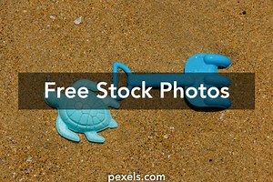 Plastic Turtle Photos, Download The BEST Free Plastic Turtle Stock Photos & HD Images
