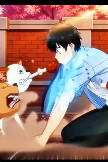 Top Animations and Cartoons to Watch Now