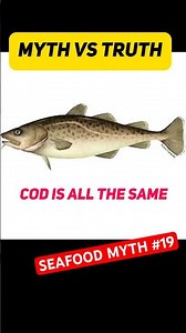 Cod vs Lingcod — Not All Cods Are Created Equal !! Seafood Myth #19