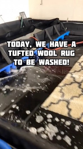 3.9K views · 73 reactions | Let’s clean a tufted wool rug | Rug Worx | Facebook