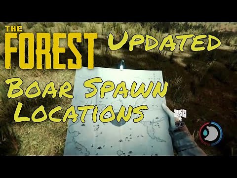 The Forest Boar Spawn Locations Updated