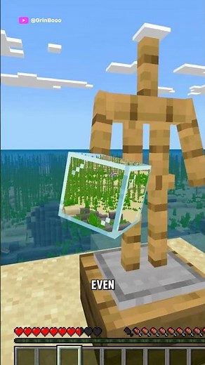 Minecraft Vision Bug 😮