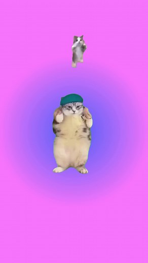 hey hey you you #meme #cats #tiktok #shorts #viral
