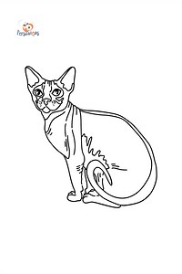 Sphynx Cat coloring page ♥ Online and Print for Free!
