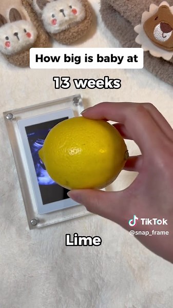 How Big is Your Baby at 20 Weeks?