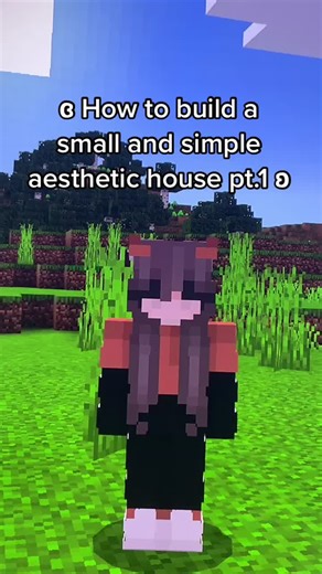 Building a Small Aesthetic Minecraft House