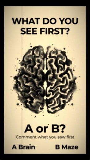 Brain or Maze Test: Thinking vs Complexity Perception Personality Insight